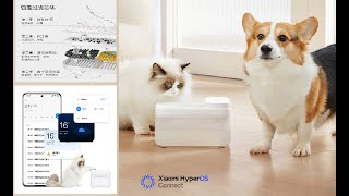 Xiaomi Wireless Smart Pet Water Dispenser [upl. by White137]