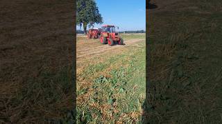 MTS Traktoren mit Pflügen in Dargun 🚜 [upl. by Goran]