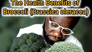 The Health Benefits of Broccoli Brassica oleracea [upl. by Forland]