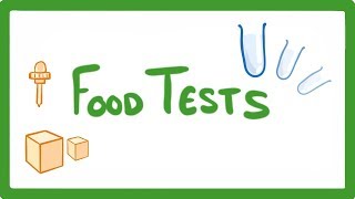 GCSE Biology  Food Tests Practicals 16 [upl. by Elocel602]