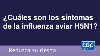 ¿Cuáles son los síntomas de la influenza aviar H5N1 [upl. by Sumer]