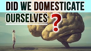 Did Humans Domesticate Ourselves Declining Brain Size amp SelfDomestication [upl. by Elsa707]