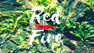 Red Fire Neocaridina [upl. by Arbuckle]