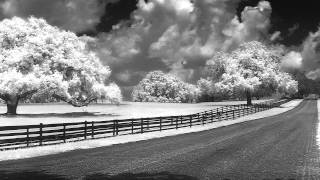 Convert Your DSLR to Infrared [upl. by Rein989]