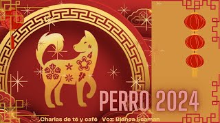 Perro 2024 [upl. by Edasalof]