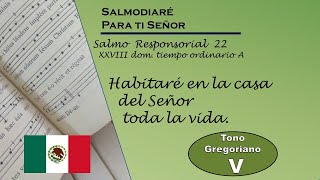 salmo responsorial 22 XXVIII domingo Ordinario Ciclo A lecc Mexicano modo gregoriano [upl. by Acira]