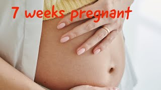 7 Weeks Pregnant What To Expect [upl. by Anigroeg]