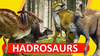 Hadrosaurs  The DuckBilled Dinosaurs  2020Outdated [upl. by Olaznog743]