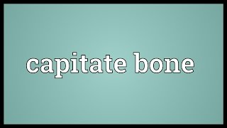 Capitate bone Meaning [upl. by Wilser]