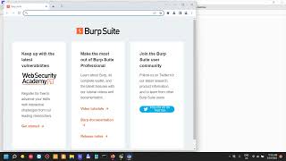 Burp Suite  Part 6  Advanced Scoping [upl. by Yelkrab]