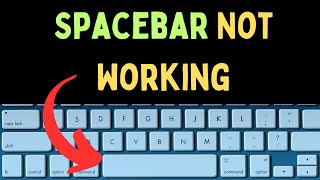 How to Fix Spacebar Not Working in Windows 11 [upl. by Eulalia]