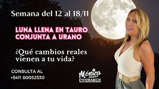 Monica Eyherabide está en vivo Semana del 12 al 1811 Luna llena en Tauro conjunta a Urano [upl. by Klara719]