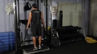 Heavy Load Eccentric Calf Exercises  Strength amp Stability Exercises [upl. by Tristram]