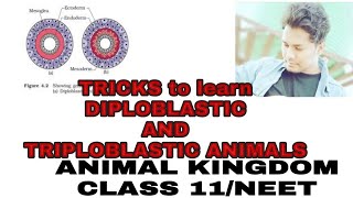 TRICKS to learn DIPLOBLASTIC and TRIPLOBLASTIC ANIMALSANIMAL KINGDOMCLASS 11NEET [upl. by Stockmon]