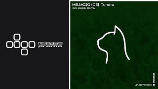 PREMIERE Mr Mojo DE  Tundra PURRFECTION [upl. by Fredric]