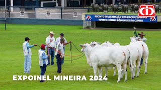 Matsuda participa da Expoinel mineira em Uberaba  MG [upl. by Pompea]