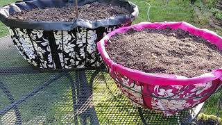 DIY How to make a lined hanging wire basket  Plants flower planter amp pots replaces coco fiber liner [upl. by Imim]