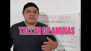 TALLER DE AMINAS I CÁLCULO DE GAMAS [upl. by Atima]