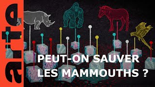 Et si on ressuscitait les mammouths   42 la réponse à presque tout  ARTE [upl. by Lavoie396]