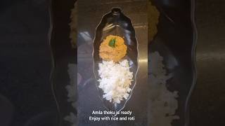 Amla chutney Nellikai Thoku [upl. by Ainos]