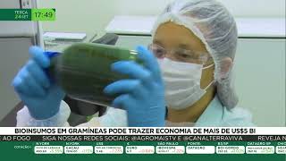 Bioinsumos em gramíneas pode trazer economia de mais de U 5 bilhões [upl. by Alyss]