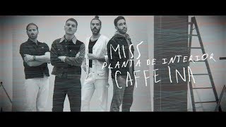 Miss Caffeina  Planta De Interior Official Lyric Video [upl. by Adamis]