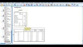 Deskriptive Statistiken mit SPSS und Häufigkeitstabellen [upl. by Euqnimod]