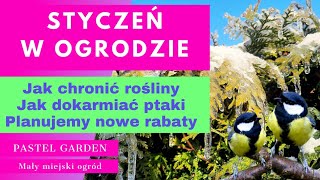 Styczeń w ogrodzie Jak zimą dbać o hortensje  róże i inne rośliny Jak dokarmiać ptaki Nowe dalie [upl. by Enerod260]