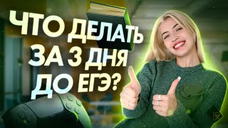 Что делать за 3 дня до ЕГЭ  Русский с Верой ЕГЭ Flex [upl. by Eulalee]