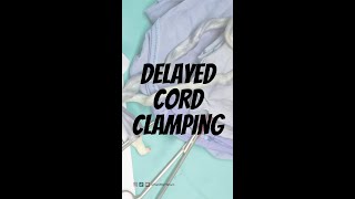 Is delayed cord clamping a good idea [upl. by Nadruoj864]