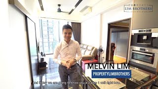 The Hillier  2bedder Condo 818 sqft  Loft Space in BR  Bukit Timah Nature Lover Melvin Lim [upl. by Osswald]