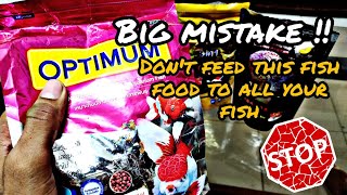 Dont feed this food to all your fish  why is optimum no 1 selling fish food in india [upl. by Olympium]