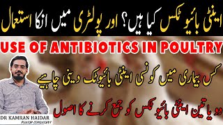 What are Antibiotics and Their Usage in Poultry Farming  Indications Dosage amp Combinations [upl. by Crutcher911]