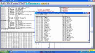 Cracken mit OllyDBG [upl. by Dearden]