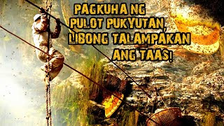 PAGKUHA NG PULOT PUKYUTAN LIBONG TALAMPAKAN ANG TAAS [upl. by Annaeirb860]