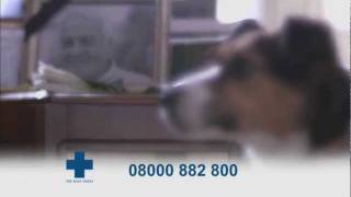 Blue Cross TV Advert  Dogs Version [upl. by Sayers]