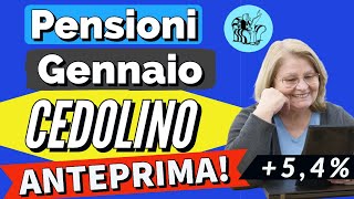 PENSIONI 👉 ANTEPRIMA CEDOLINO GENNAIO CON AUMENTI e altro❗️Ecco cosa conterrà [upl. by Loveridge900]