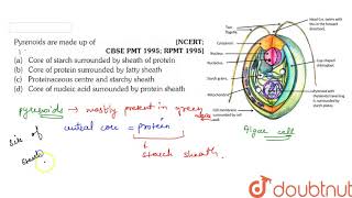 Pyrenoids are made up of  11  PLANT KINGDOM  BIOLOGY  ERRORLESS  Doubtnut [upl. by Zela]