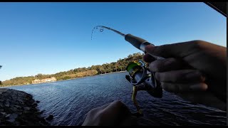 Massive 55cm PB Tailor  Fishing Narrows Bridge Swan River EP 5 [upl. by Anavoig]