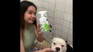 Keep Your Pet Fresh with Waterless Shampoo 🐶💧 [upl. by Nocam300]