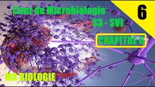 Cour de Microbiologie S3  SVI  CHAPITRE 6 [upl. by Ardnaxela]