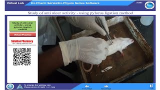 Antiulcer Activity By Pylorus Ligation Method in Rat  ExPharm Software  हिंदी में समझिये [upl. by Paapanen]