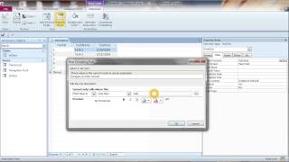 How to Format Field on Datasheet Form MS Access [upl. by Enyamert]