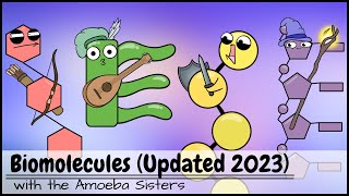 Biomolecules Updated 2023 [upl. by Ardnait]