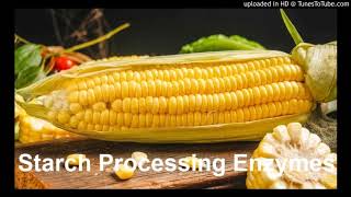 Starch Processing Enzymes Suppliers Glucoamylase Thermostable α–Amylase [upl. by Marek]