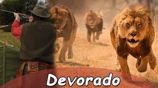 Cazador es devorado por leones  Historias felinas  40 [upl. by Ajile]