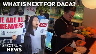 DACA Recipient Details Stress of ReApplying Some Believe Its Too Much To Ask  Spectrum News [upl. by Euqinwahs]