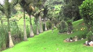 Africa Overland  Lake Bunyonyi Overland Resort Uganda [upl. by Nyasuh]