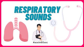 Respiratory Sounds  Abnormal Breath sounds acein60sec clinical [upl. by Schwinn]