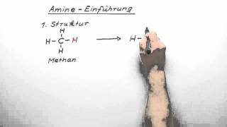 317 Amine  Einführung GK  Chemie  Organische Chemie [upl. by Atinor]